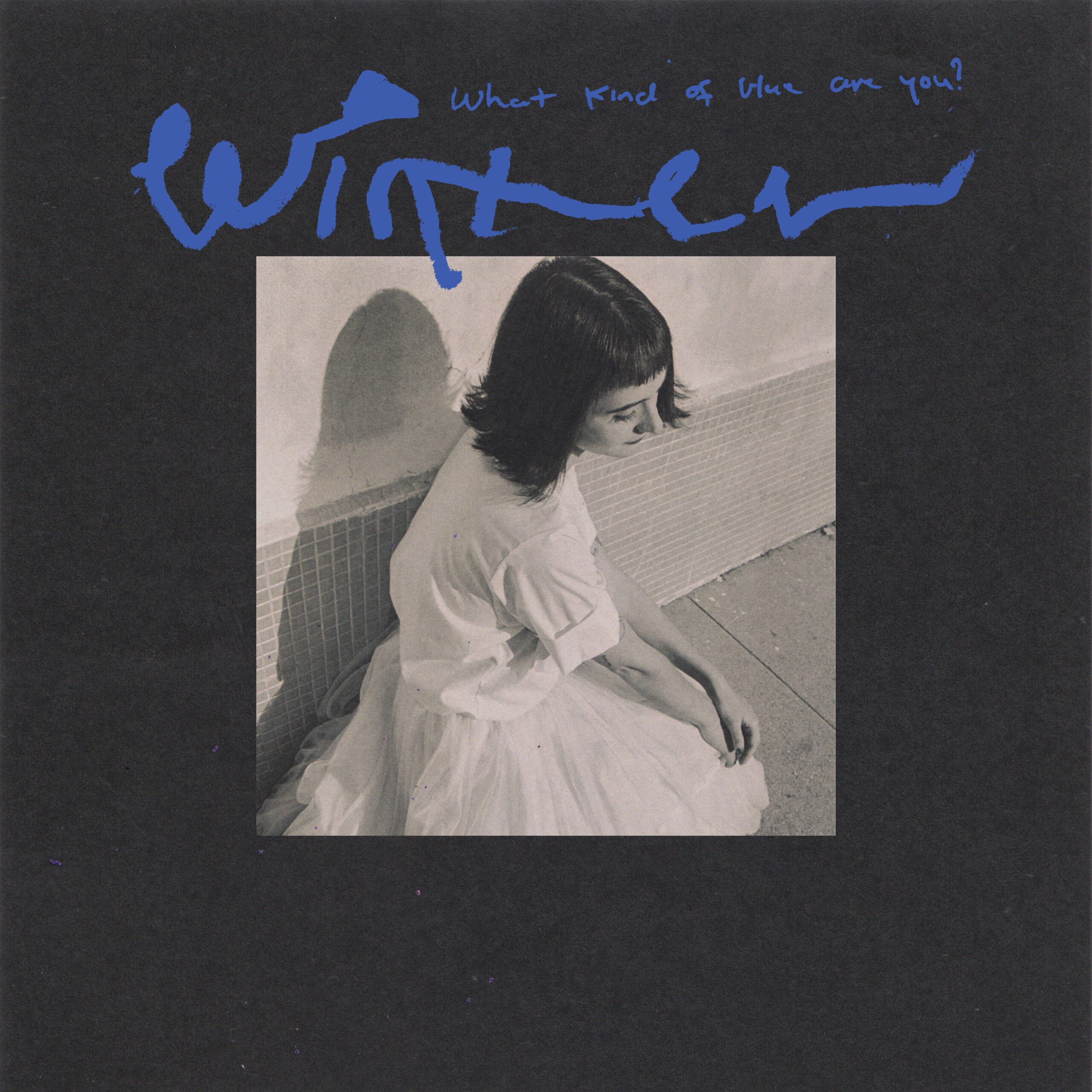 Read more about the article Winter announces new album What Kind of Blue Are You? & shares video for lead single, ‘atonement’ feat. Hatchie