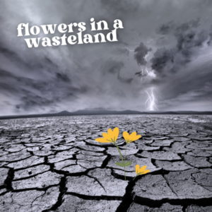 Read more about the article Track of the Week: ‘Flowers In A Wasteland’ by velours