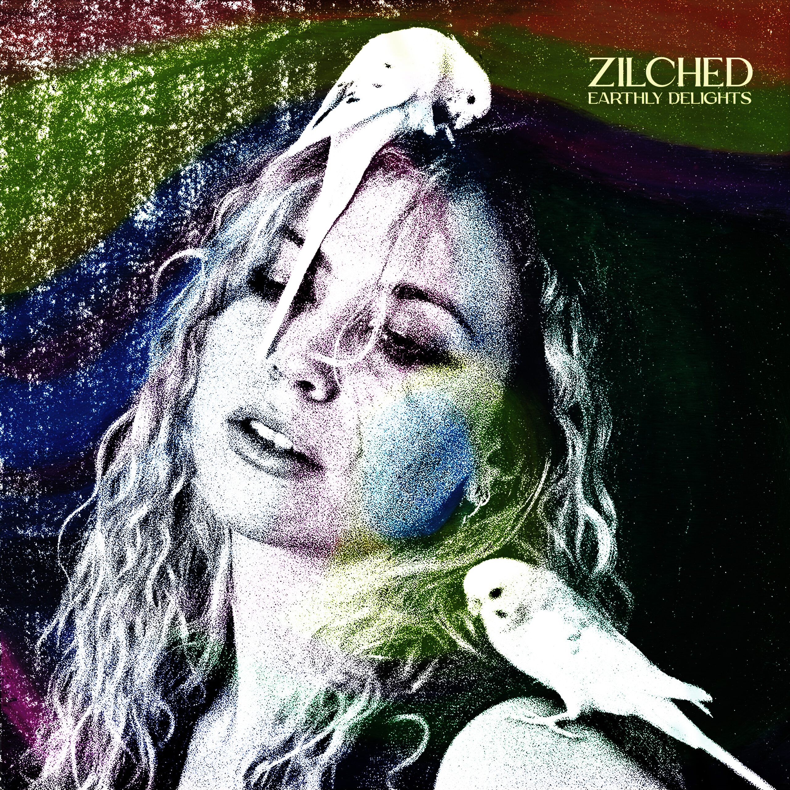 Read more about the article Zilched announces new album Earthly Delights; shares new single & video ‘The Flood’
