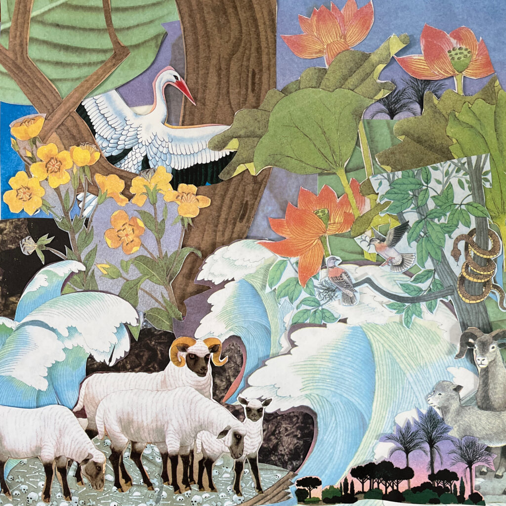 Light Beams announce new album Wild Life with single/video ‘Coming Our Way’
