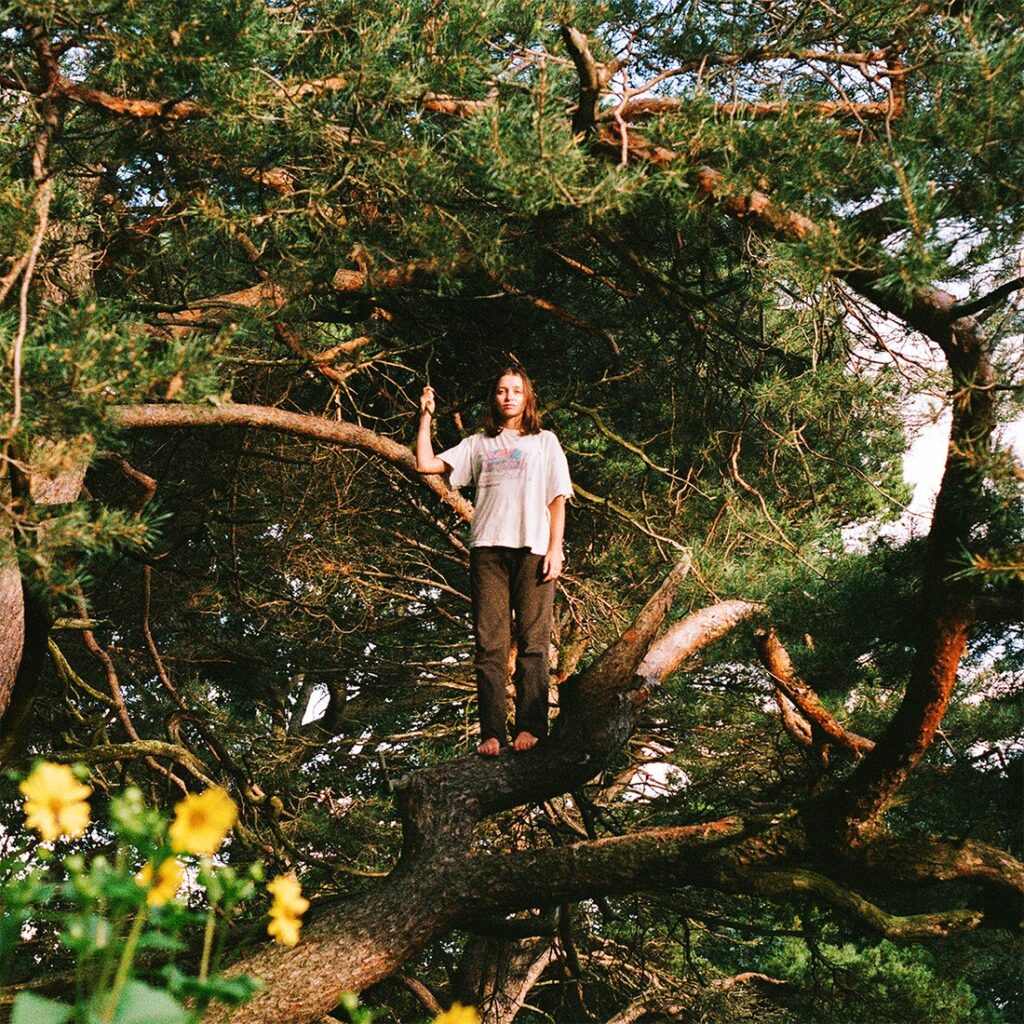 PACKS announce new LP Melt The Honey & share single/video ‘Honey’