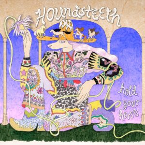Read more about the article Houndsteeth announce new LP Hold Your Horses, hear new single ‘Rodeo’