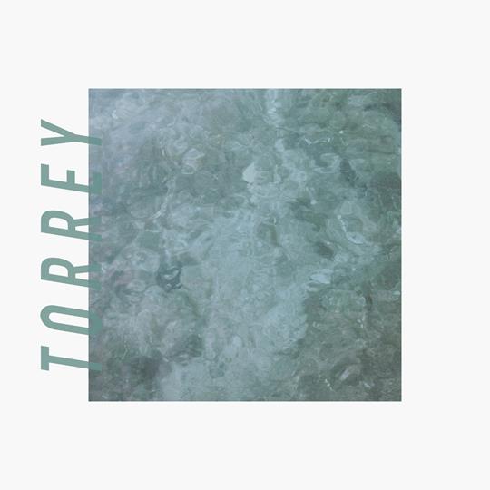 Read more about the article Torrey announces self-titled sophomore LP, share new single & video ‘No Matter How’