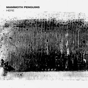 Read more about the article Mammouth Penguins announce new album, Here, & shares new single ‘Species’