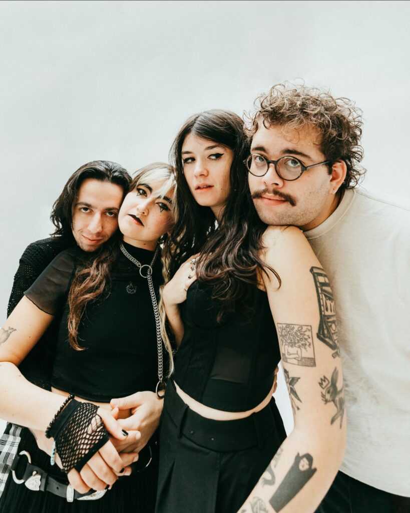 Destroy Boys drop new song ‘Plucked’