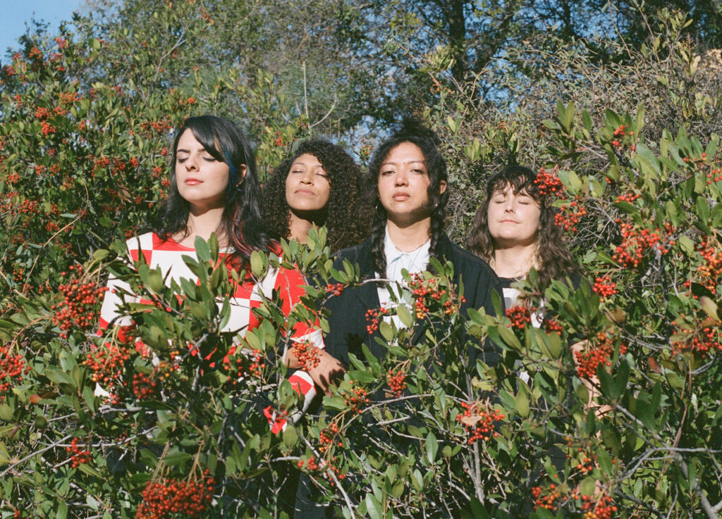La Luz release new single ‘Poppies’