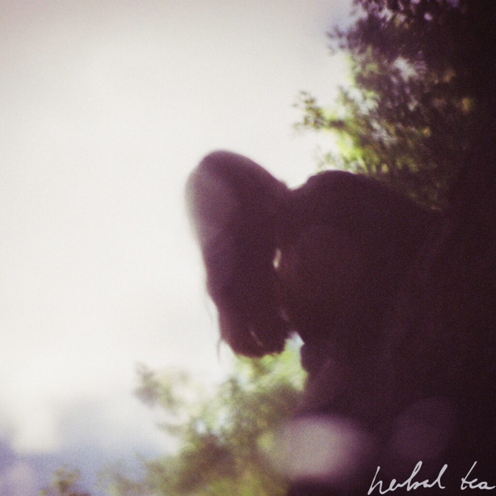 herbal tea announces debut album Hear As The Mirror Echoes; shares new single/video ‘Seventeen’