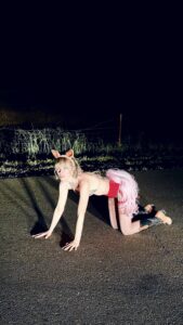 Read more about the article Lindsey Rose Black returns with new single ‘CUNT HONEY’