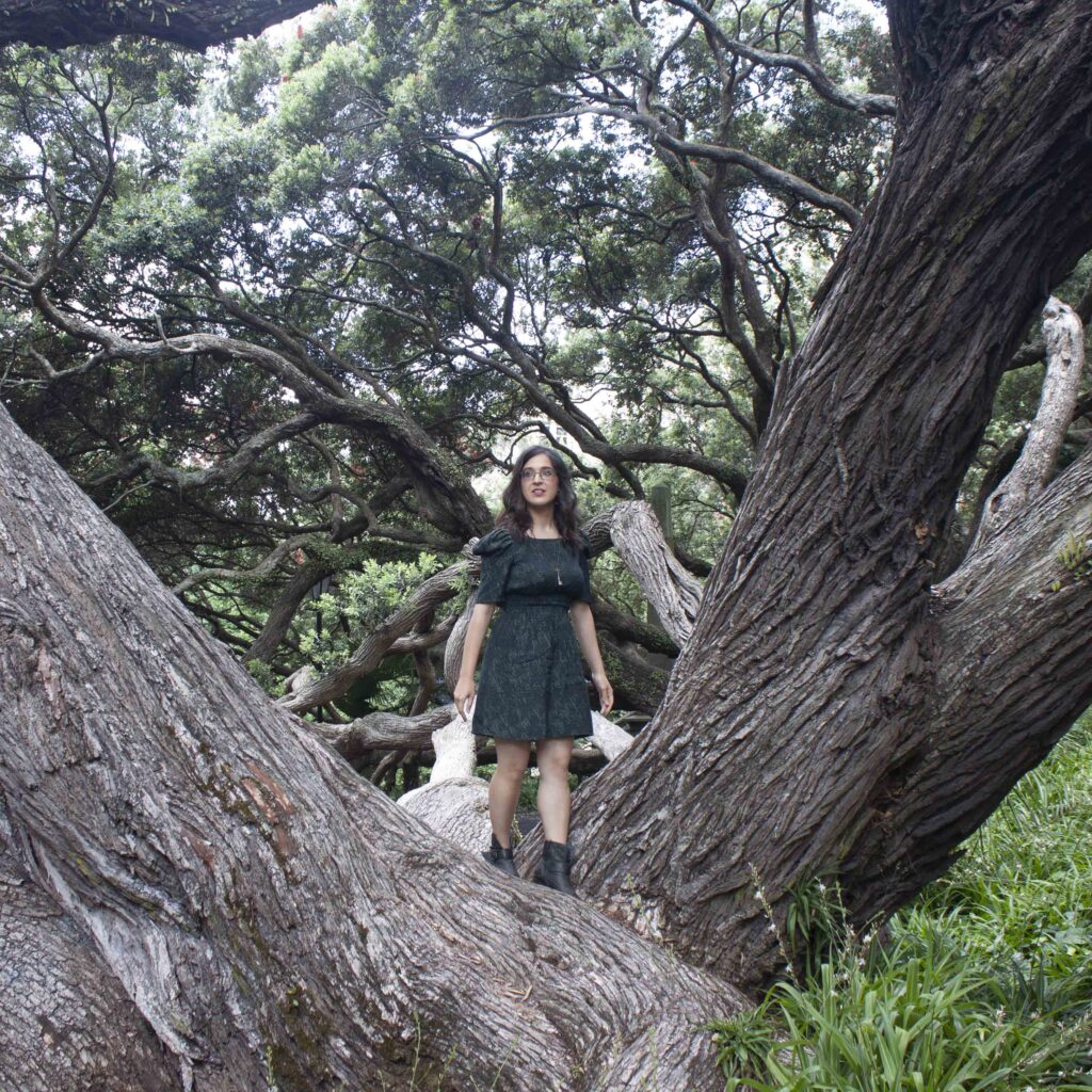 Lexytron shares new single ‘Elevator’