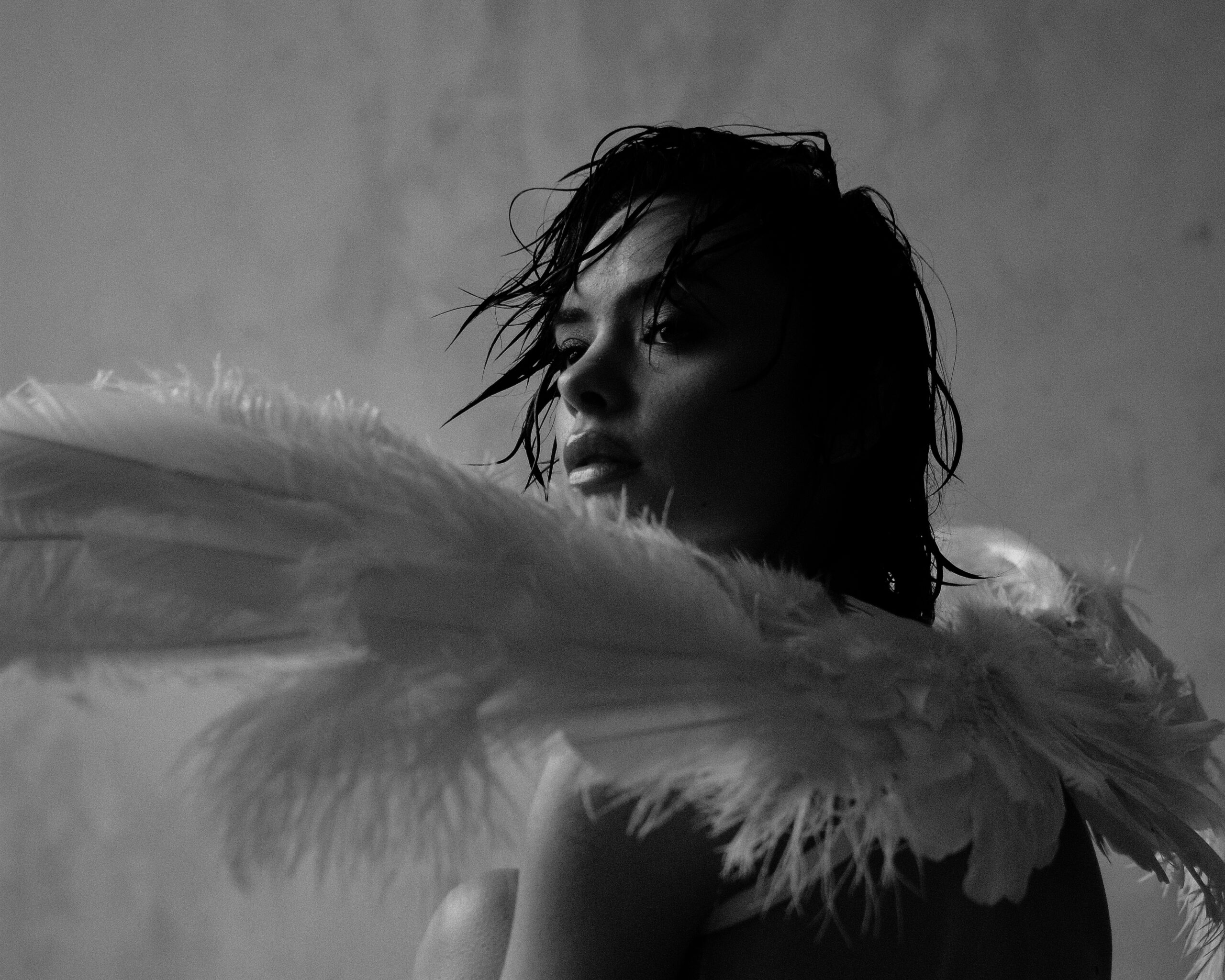 You are currently viewing Wrené shares new narrative music video ‘No Skin Against the Wind’