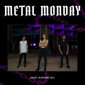 Read more about the article 