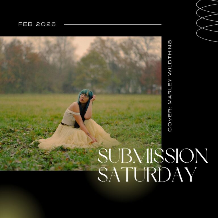 Read more about the article 