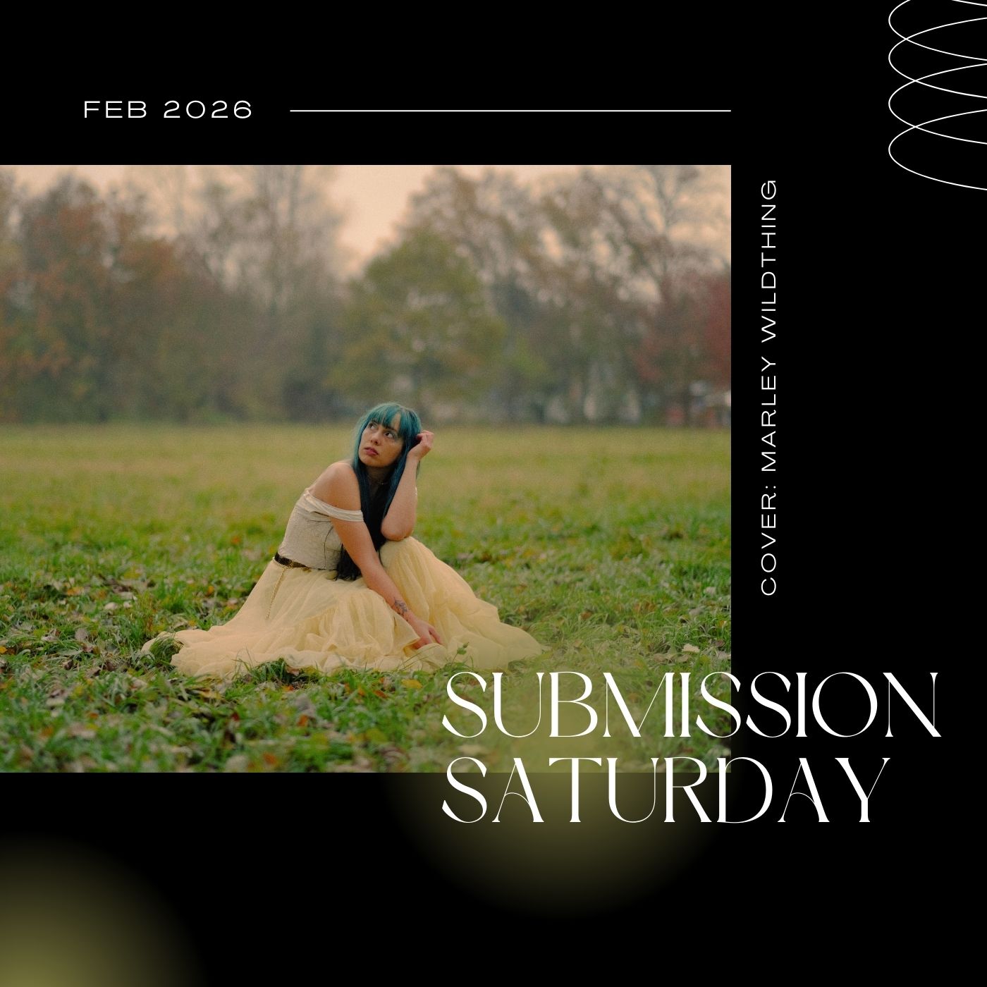 Read more about the article 